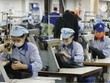Cổ phiếu dệt may: Từ kỳ vọng đến... thất vọng