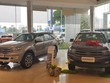 Giảm giá nhiều, thị trường ô tô bật tăng trong tháng 9