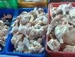 Gà Mỹ, gà Hàn Quốc siêu rẻ dồn dập đổ về Việt Nam