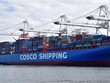 WTO 'bật đèn xanh' cho Trung Quốc áp thuế chống phá giá hàng hóa Mỹ