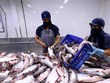 Việt Nam đủ điều kiện xuất khẩu sản phẩm cá và cá da trơn sang Hoa Kỳ