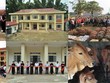 SSI: Giá trị thương hiệu không thể thiếu cam kết trách nhiệm xã hội