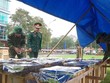 Nghệ An bắn pháo hoa ở 3 địa điểm trong đêm giao thừa
