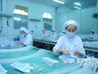Cẩn trọng cơn sốt cổ phiếu dược