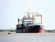 Lối thoát cho khoản nợ 25 năm của Vinawaco