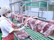 Thủ tướng yêu cầu kiên quyết giảm giá thịt lợn dưới 60.000 đồng mỗi kg