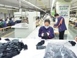 Doanh nghiệp lo bảo toàn “dòng máu”