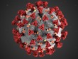Trung Quốc tìm thấy kháng thể mới chống virus corona