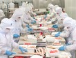Đa dạng thị trường, Navico (ANV) vững kim ngạch xuất khẩu