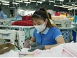 Phong Phú ra mắt sản phẩm khăn kháng khuẩn