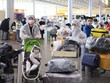 Đưa hơn 300 công dân Việt Nam từ Liên bang Nga về nước