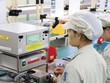 EVFTA kích hoạt làn sóng đầu tư từ châu Âu