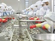 Doanh nghiệp thủy sản đón cơ hội EVFTA