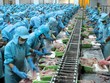 Tái cấu trúc Bianfishco: Những rủi ro pháp lý chưa được đánh giá đúng