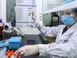 Vắcxin COVID-19 của Trung Quốc sắp hoàn tất thử nghiệm lâm sàng