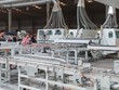 Động lực để doanh nghiệp Việt bứt phá