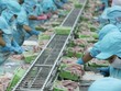 Ngành thuỷ sản thấy trước thách thức
