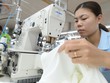 Doanh nghiệp dệt may lo đứt dòng tiền