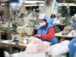 Giãn thời gian tạm dừng đóng quỹ hưu trí và tử tuất đến hết tháng 12/2020