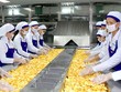 Chủ tịch Vinamit Nguyễn Lâm Viên: Khát vọng đưa nông sản Việt chinh phục thế giới