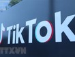 TikTok đề nghị tòa án Mỹ chặn lệnh cấm của Tổng thống Trump