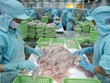 Doanh nghiệp thủy sản vào mùa