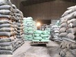 Thủ tướng quyết định cấp bổ sung 6.500 tấn gạo cho 4 tỉnh miền Trung