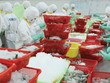 Ngành tôm cần tập trung vào hai "việc lớn"