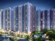 Novaland hủy giao dịch quyền sử dụng đất với vợ chồng ông Bùi Thành Nhơn