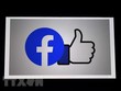 Facebook News dự kiến triển khai tại Anh vào năm 2021