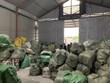 Quảng Ninh tạm giữ lô hàng khủng 28,3 tấn ''quần áo cũ" nghi nhập lậu