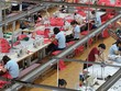 May Sông Hồng vững vàng trước thử thách