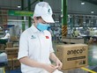 An Phát Holdings (APH) lần đầu được FTSE, MSCI gọi tên