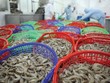 Cơ hội mới cho ngành nông, thủy sản