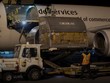 Canada xác nhận hai trường hợp nhiễm virus Corona biến chủng mới ở Anh