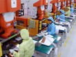 Bộ Luật Lao động mới giúp Việt Nam tránh được bẫy thu nhập trung bình