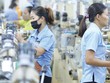Thị trường chứng khoán 2021: Kỳ vọng từ ba sắc luật lớn