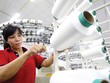 Đầu tư và Thương mại Vũ Đăng (SVD): Lợi nhuận giảm, nợ vay tăng