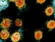 Vì sao biến chủng của virus SARS-CoV-2 xuất hiện ngày càng nhiều và nguy hiểm hơn?