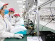 Người đi làm kỳ vọng sẽ tăng lương trong năm 2021