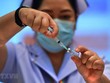 EU tìm cách đảm bảo nguồn cung nguyên liệu sản xuất vắcxin từ Mỹ