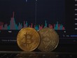 Giá Bitcoin hôm nay ngày 9/3: Giá Bitcoin tiếp tục tăng mạnh vượt mốc 53.000 USD, thị trường tiền điện tử bước vào thời kỳ tăng trưởng