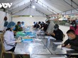 Từ 12h ngày 25/3, người từ Hải Dương về Hải Phòng không phải cách ly y tế
