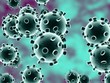 WHO xác nhận khả năng lây virus SARS-CoV-2 từ người sang động vật