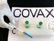 COVAX phân phối gần 38,4 triệu liều vaccine cho hơn 100 quốc gia
