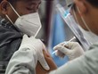 Indonesia vạch 4 chiến lược đảm bảo nguồn cung vaccine