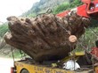 Nguyên Phó Chủ tịch UBND huyện Bạch Thông, Bắc Kạn lĩnh 24 tháng tù treo