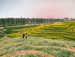 Huyện Đan Phượng có thêm hai điểm du lịch cấp thành phố