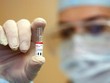 Bộ Y tế chưa phê duyệt vaccine COVID-19 của Moderna