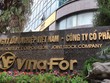 Vinafor (VIF): Phú quý giật lùi
